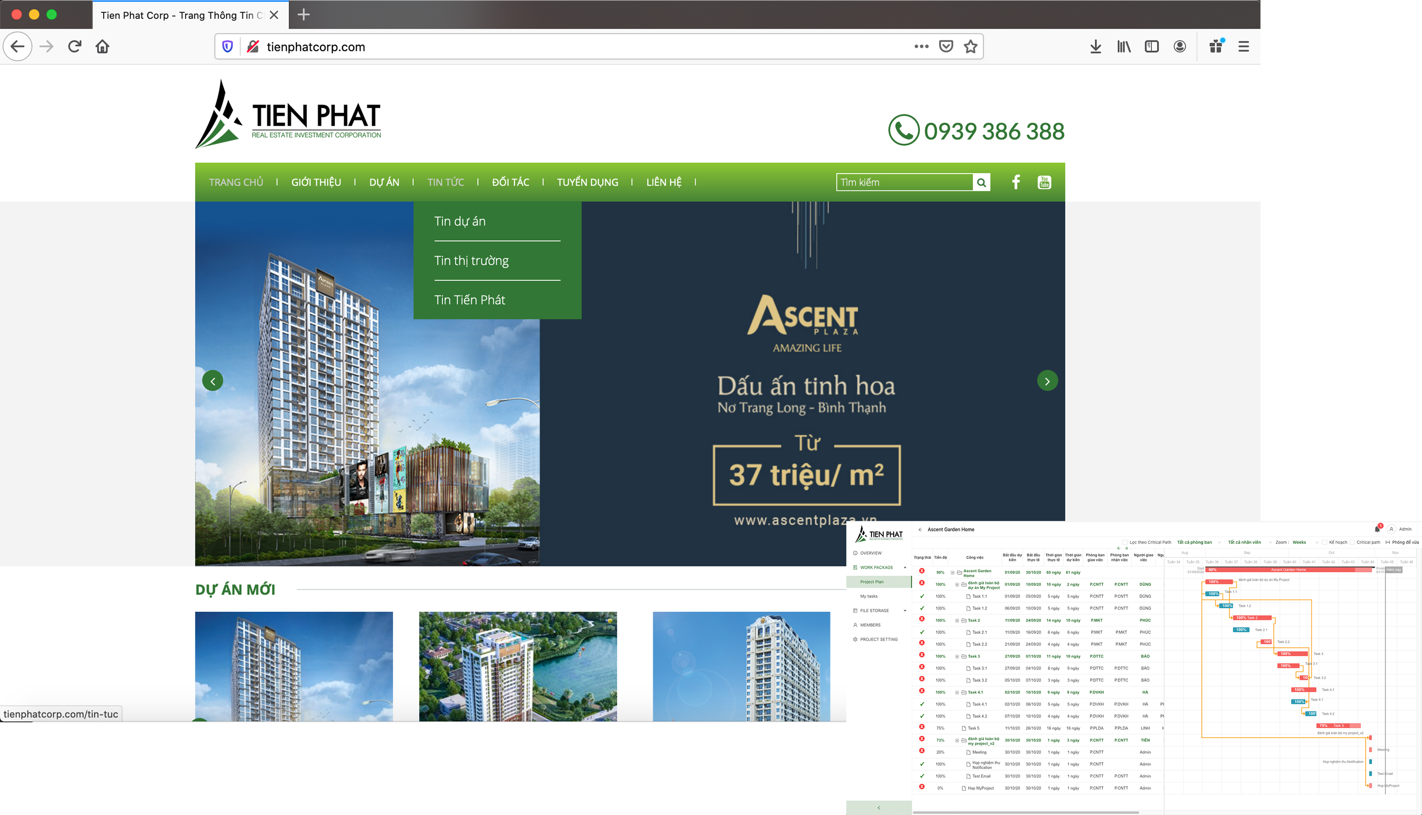 tienphat-web